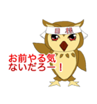 熱血ゆるふわフクロウちゃん（個別スタンプ：1）