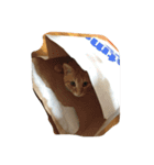 猫のむーさん（個別スタンプ：7）