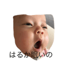 はるちゃん用（個別スタンプ：1）