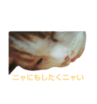 にゃーんっ（個別スタンプ：4）