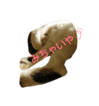 にゃーんっ（個別スタンプ：11）