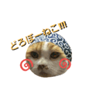 にゃーんっ（個別スタンプ：17）
