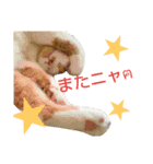 にゃーんっ（個別スタンプ：22）