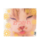 にゃーんっ（個別スタンプ：24）
