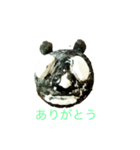 パンダナンダ（個別スタンプ：3）