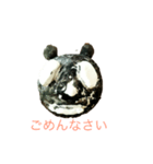 パンダナンダ（個別スタンプ：5）