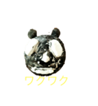 パンダナンダ（個別スタンプ：6）