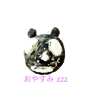 パンダナンダ（個別スタンプ：7）