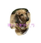 カミーユさん（個別スタンプ：4）