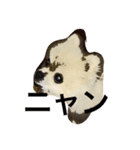 ぽこりん（個別スタンプ：4）