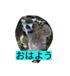 monkeyyyy（個別スタンプ：2）