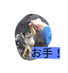 monkeyyyy（個別スタンプ：6）