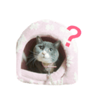 うめもももか（個別スタンプ：2）