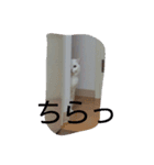 ちびちゃん（白）（個別スタンプ：4）