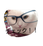 ちびちゃん（白）（個別スタンプ：6）