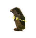 我が家の愉快なインコたち（個別スタンプ：5）