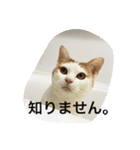 はなのつぶやき（個別スタンプ：2）