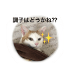 はなのつぶやき（個別スタンプ：4）
