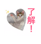 はなのつぶやき（個別スタンプ：6）