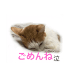はなのつぶやき（個別スタンプ：8）