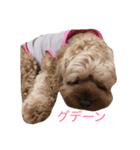 マミーだよ♡（個別スタンプ：3）