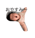孫です（個別スタンプ：1）