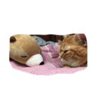 みーちゃん❤️（個別スタンプ：13）