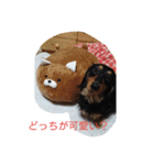 ダックスのさくぼん（個別スタンプ：2）
