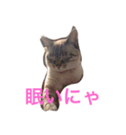 はなまち専用（個別スタンプ：4）