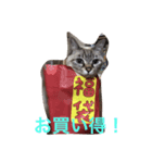 はなまち専用（個別スタンプ：5）