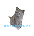 はなまち専用（個別スタンプ：7）