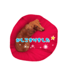 愛犬グロス。（個別スタンプ：10）