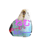 のち♡（個別スタンプ：4）