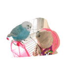 のち♡（個別スタンプ：9）