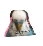 のち♡（個別スタンプ：11）