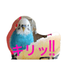 のち♡（個別スタンプ：14）