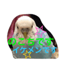 のち♡（個別スタンプ：20）