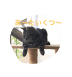 お気楽  神楽ちゃん（個別スタンプ：4）