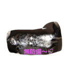 お気楽  神楽ちゃん（個別スタンプ：5）