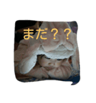 我が子たち（個別スタンプ：3）