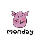 Amazing Pig（個別スタンプ：5）