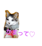 ラブラブ生活（個別スタンプ：1）
