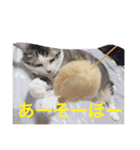 ラブラブ生活（個別スタンプ：5）