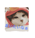 ラブラブ生活（個別スタンプ：7）