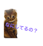 ラブラブ生活（個別スタンプ：8）