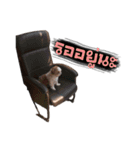 Meimei - The Cute Little Dog（個別スタンプ：1）