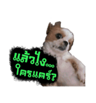 Meimei - The Cute Little Dog（個別スタンプ：6）