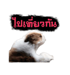 Meimei - The Cute Little Dog（個別スタンプ：10）
