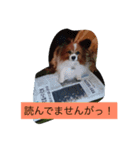 じゃじゃまる（個別スタンプ：5）