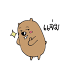 Mr.Mee Ms.Moo（個別スタンプ：12）